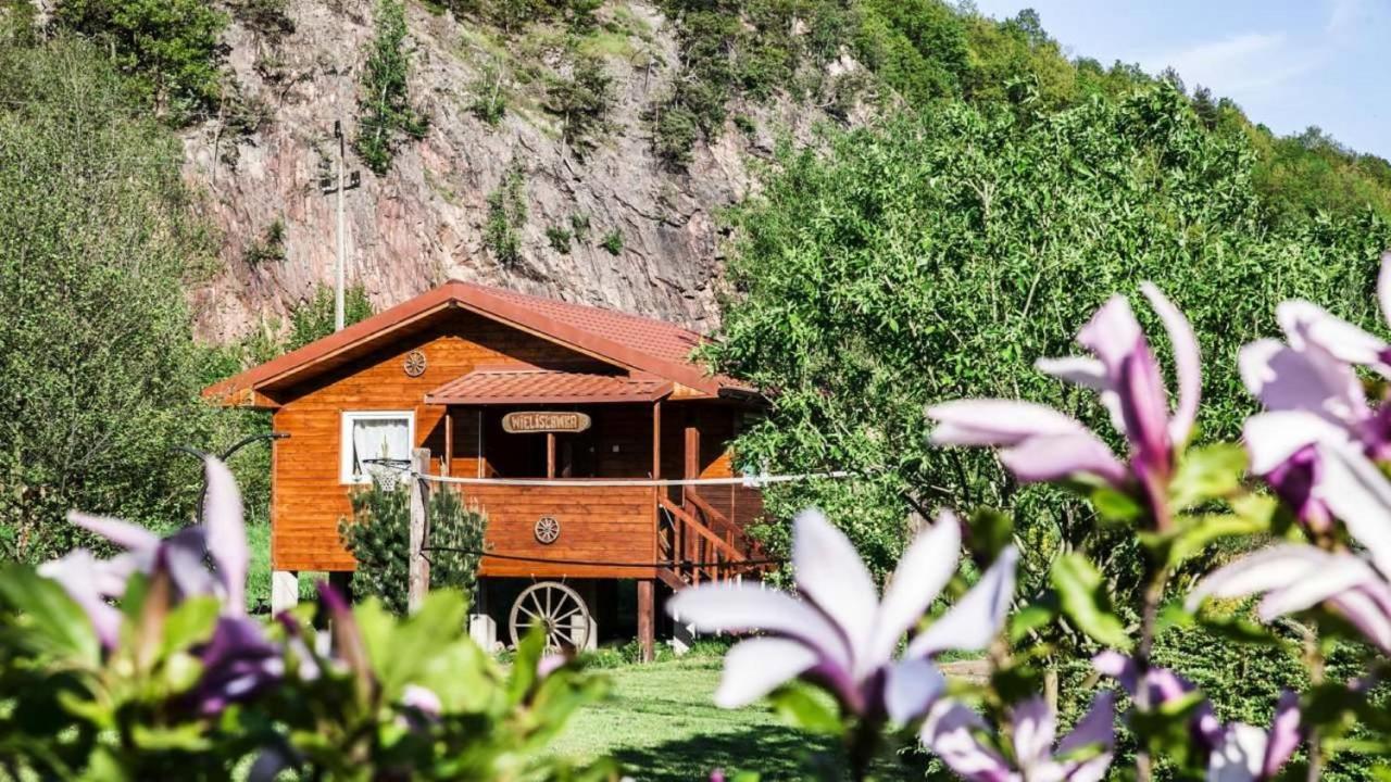 Farm stay Eden *